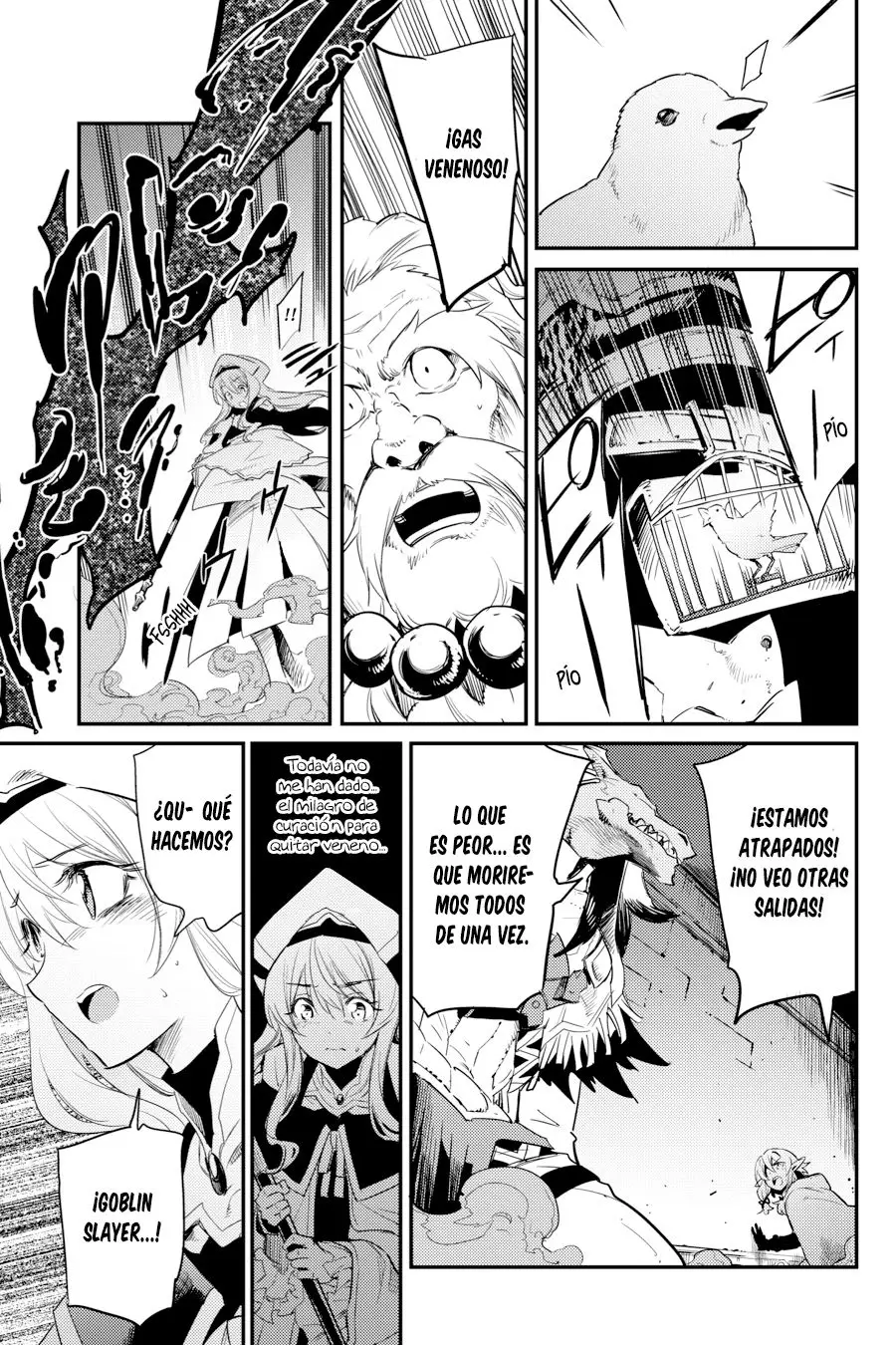 Goblin Slayer capítulo 21, página 19