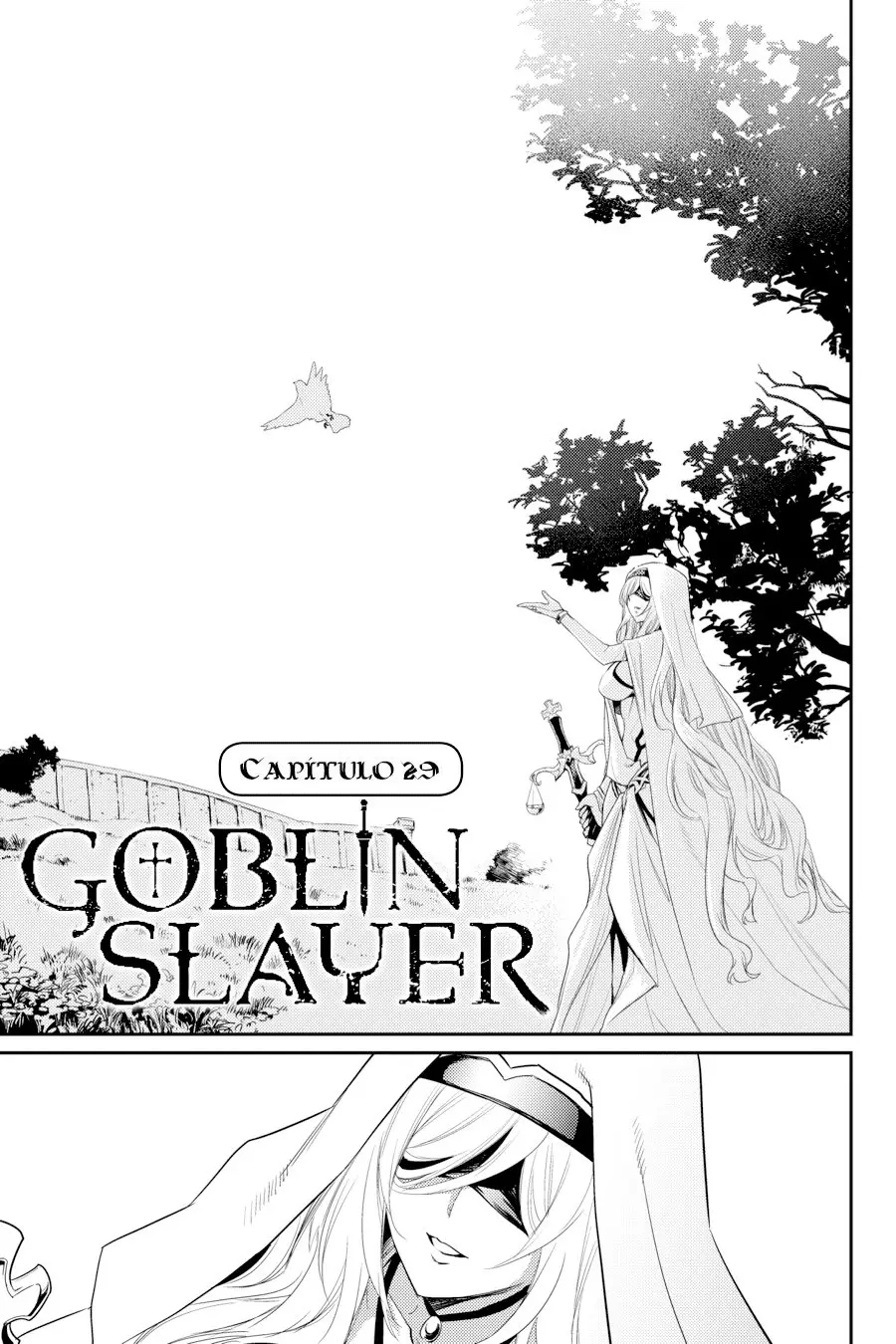 Goblin Slayer capítulo 29, página 3