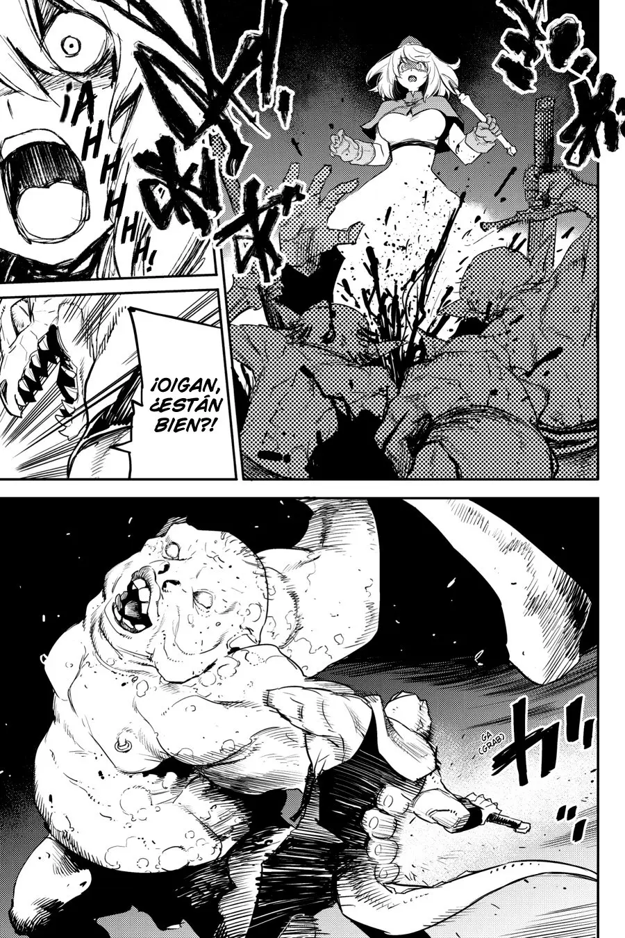 Goblin Slayer capítulo 59, página 12