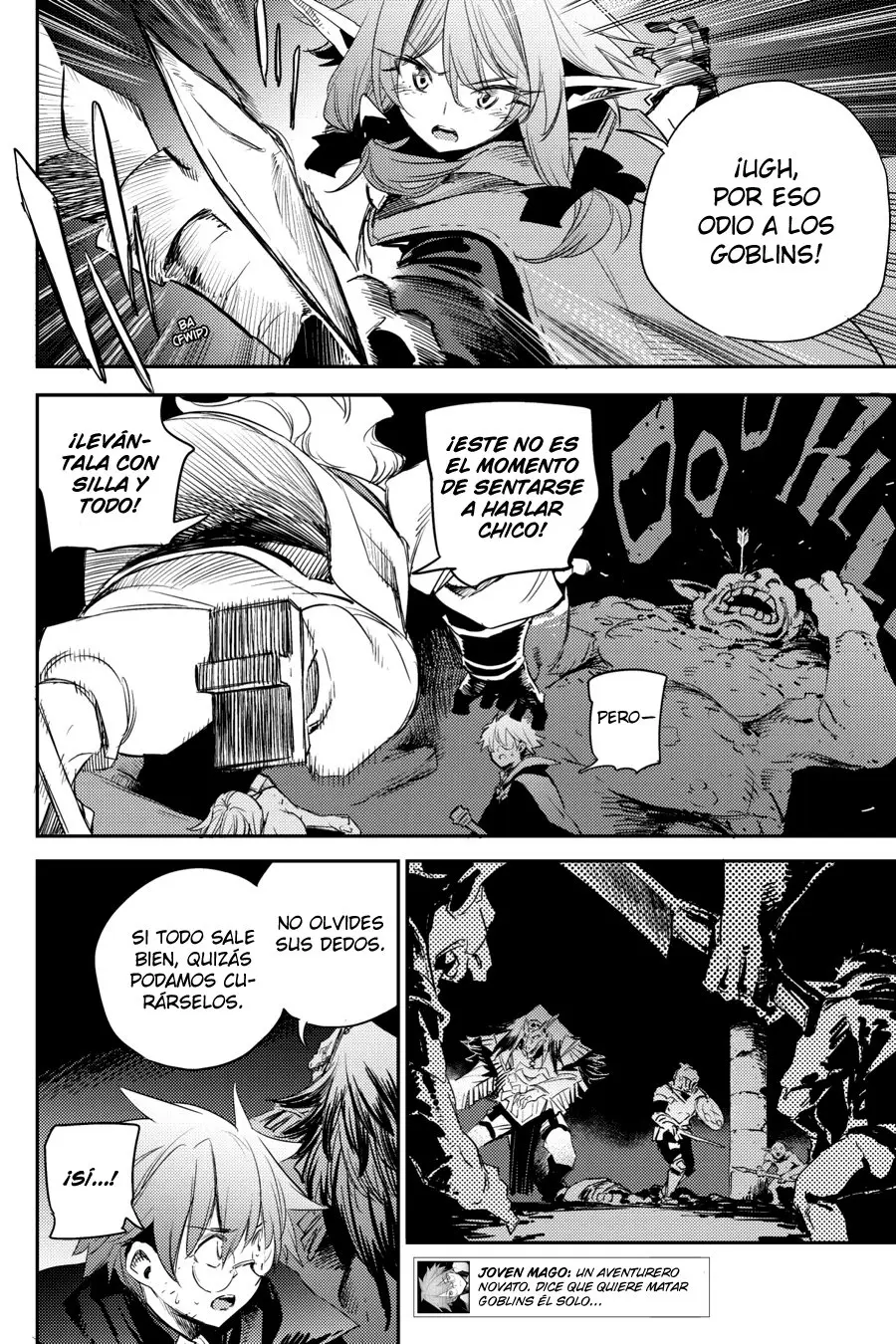 Goblin Slayer capítulo 61, página 17
