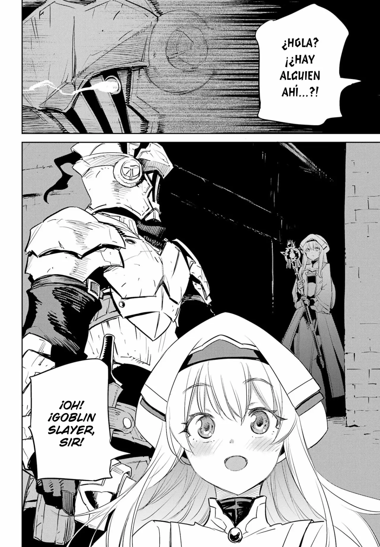 Goblin Slayer capítulo 70, página 19