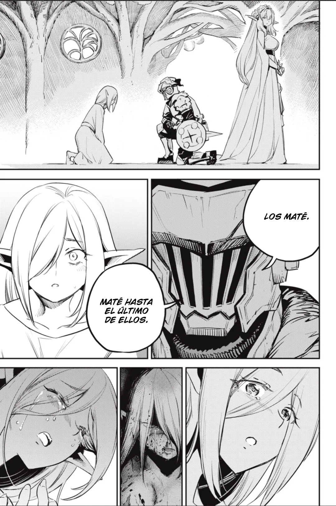 Goblin Slayer capítulo 83, página 11
