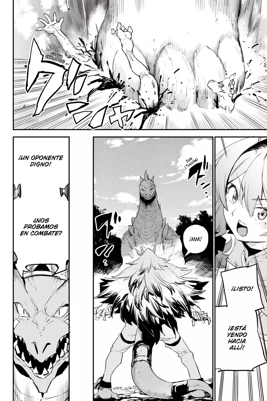 Goblin Slayer capítulo 84, página 14