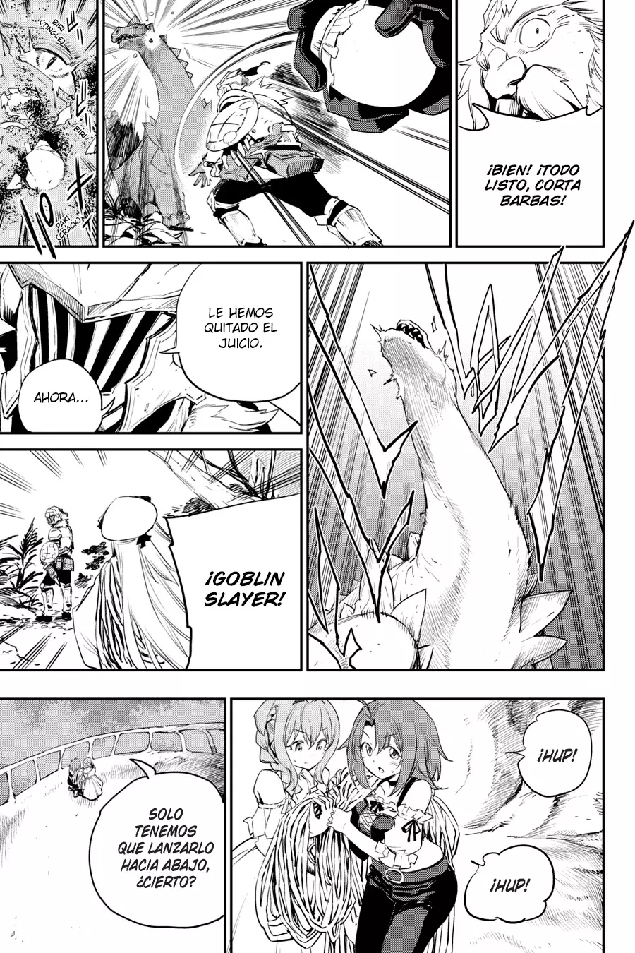 Goblin Slayer capítulo 84, página 17