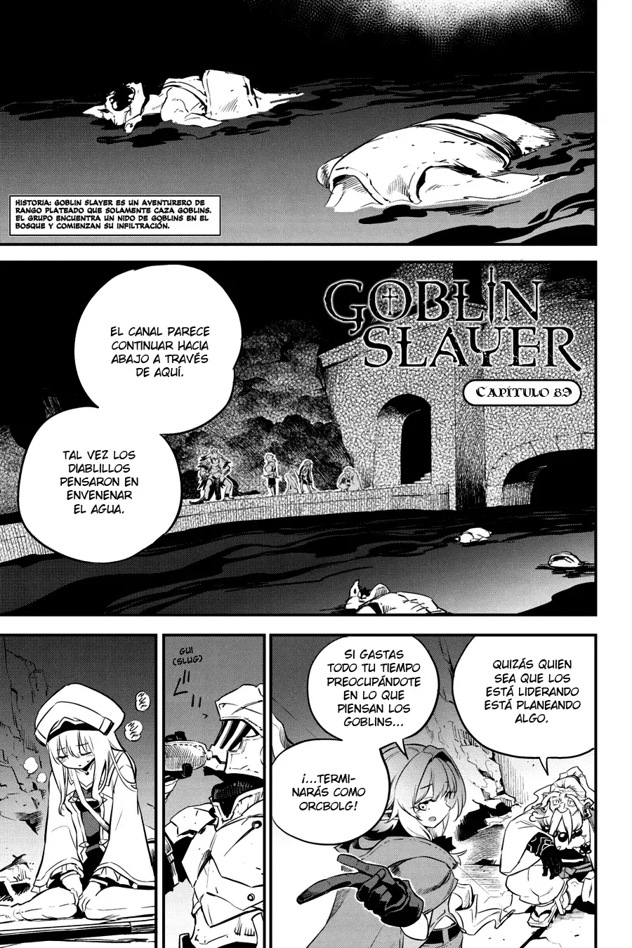 Goblin Slayer capítulo 89, página 3