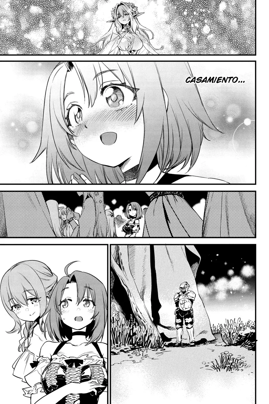 Goblin Slayer capítulo 94, página 19