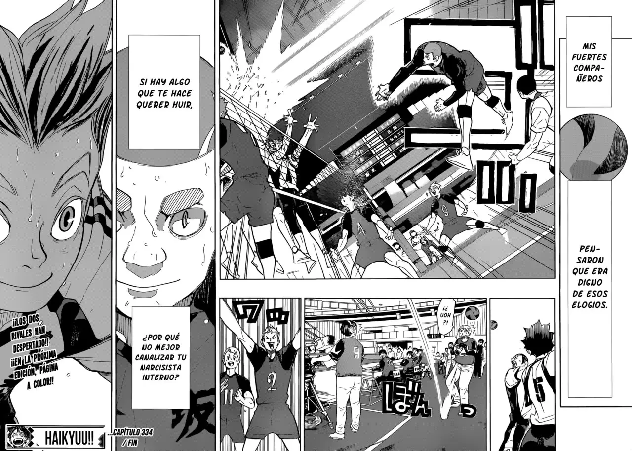 Haikyu!! capítulo 334, página 19