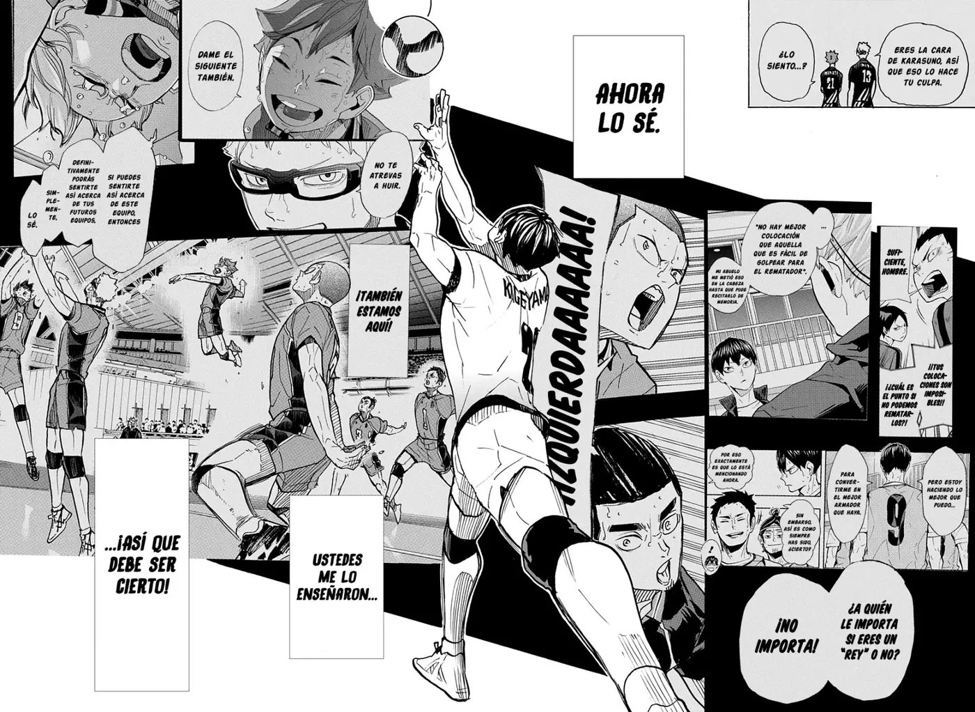 Haikyu!! capítulo 389, página 14