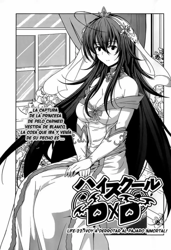 High-School DxD capítulo 22, página 2