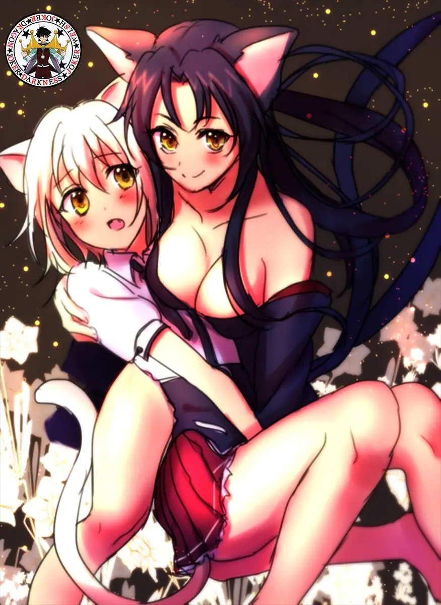 High-School DxD capítulo 62, página 2