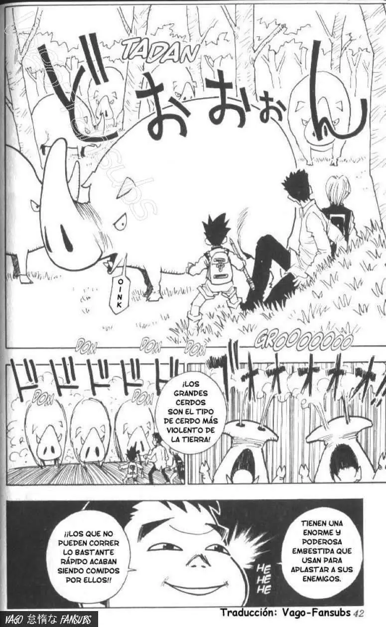 Hunter X Hunter capítulo 10, página 17