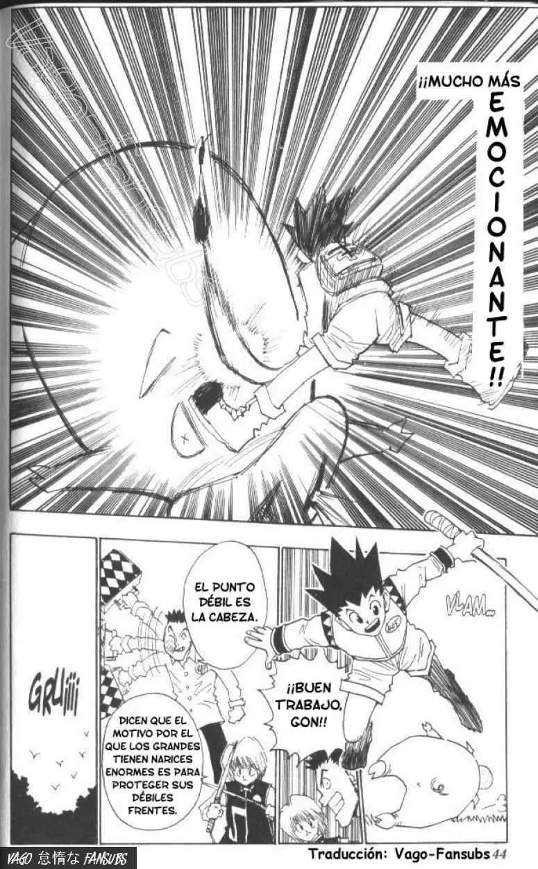 Hunter X Hunter capítulo 10, página 19