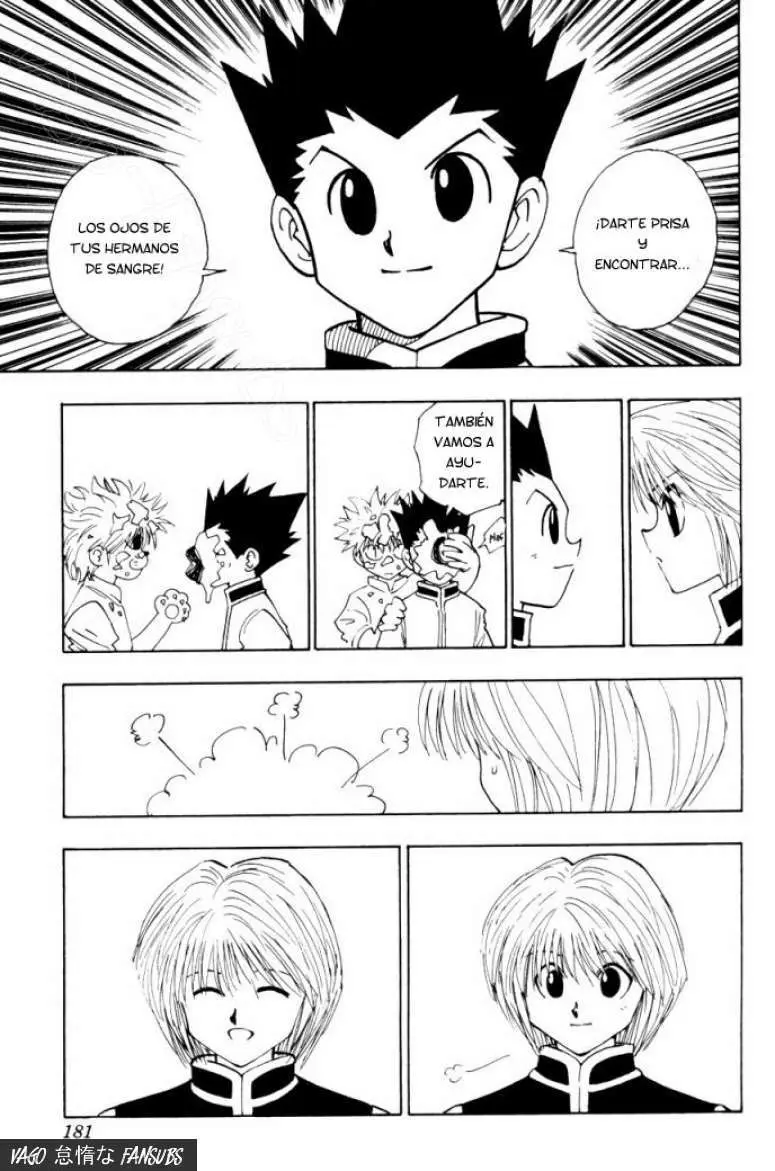 Hunter X Hunter capítulo 102, página 18