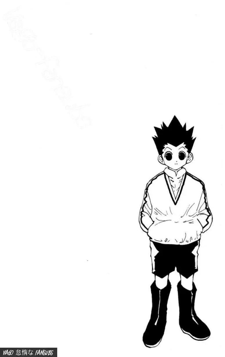 Hunter X Hunter capítulo 110, página 12