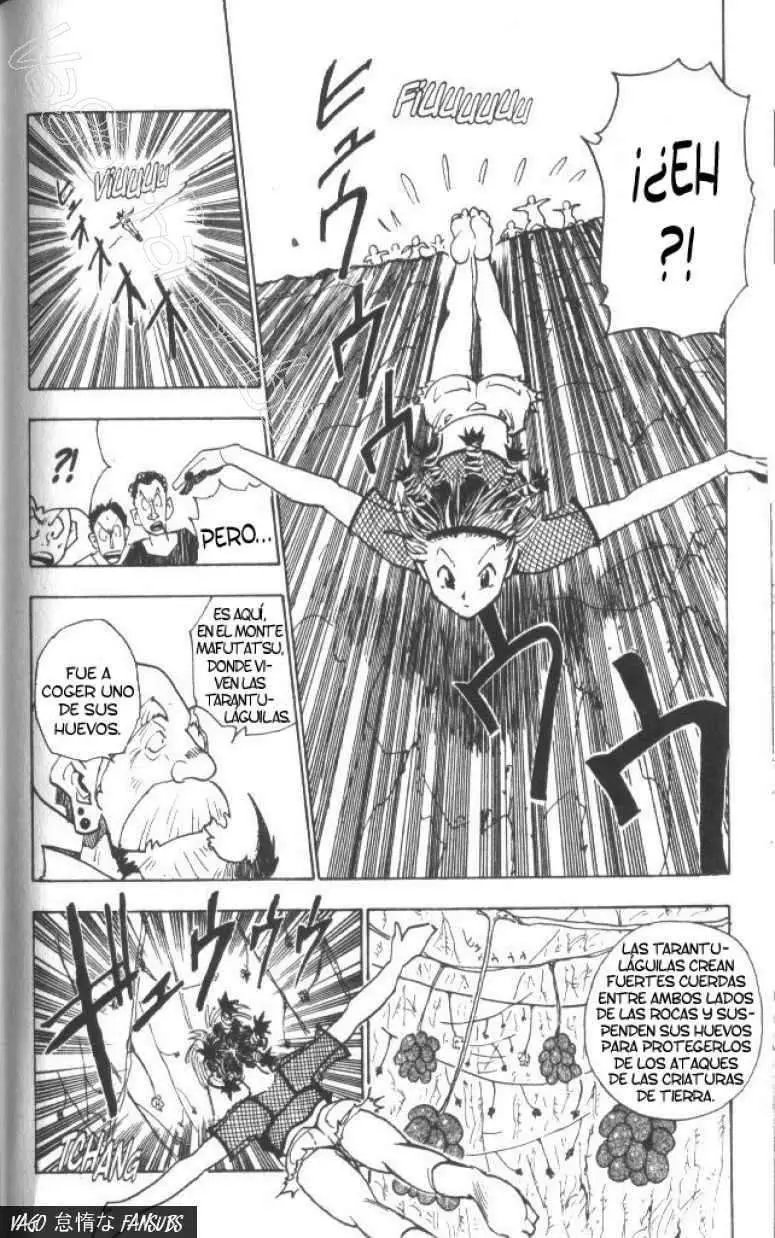 Hunter X Hunter capítulo 12, página 17
