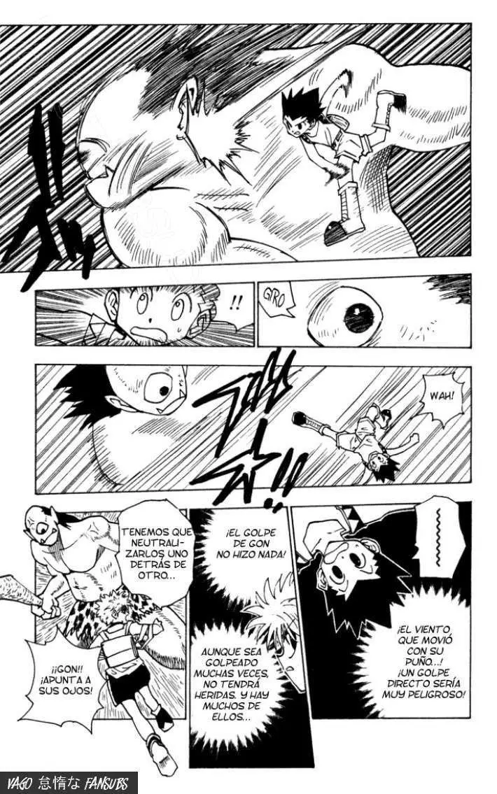 Hunter X Hunter capítulo 135, página 11