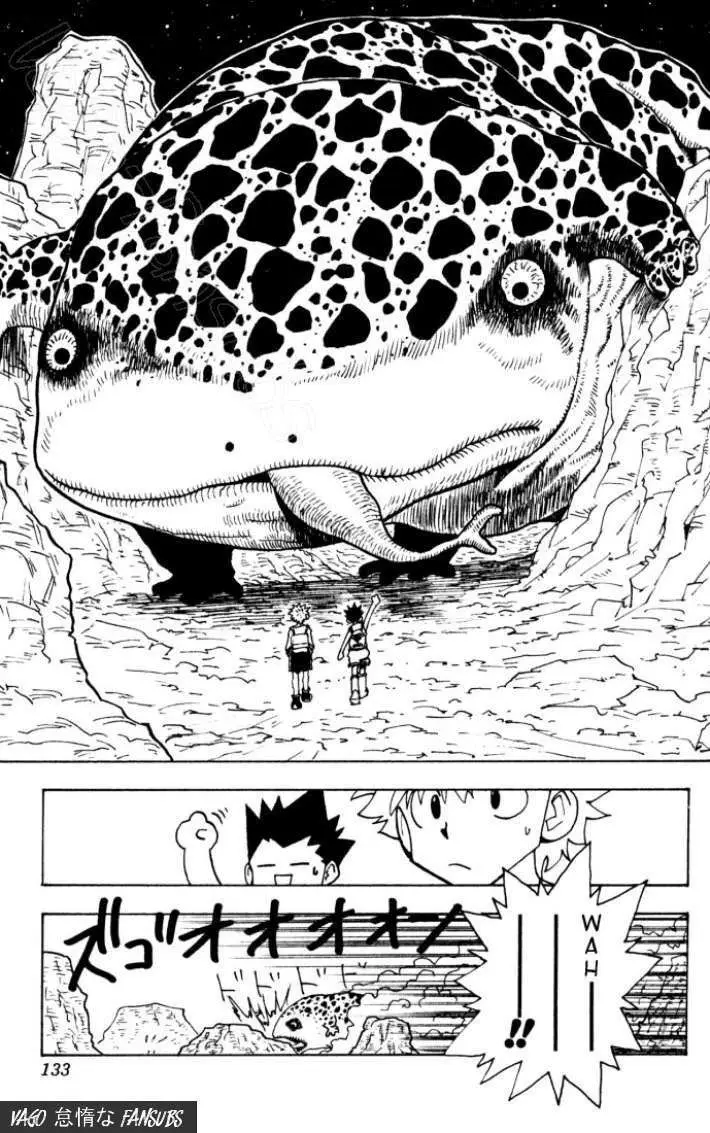 Hunter X Hunter capítulo 135, página 15