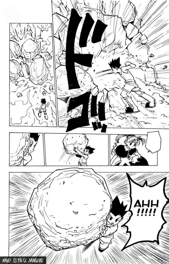 Hunter X Hunter capítulo 138, página 14
