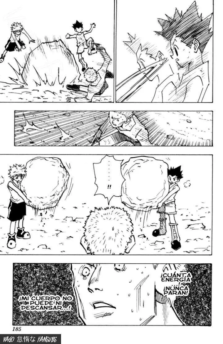 Hunter X Hunter capítulo 139, página 3