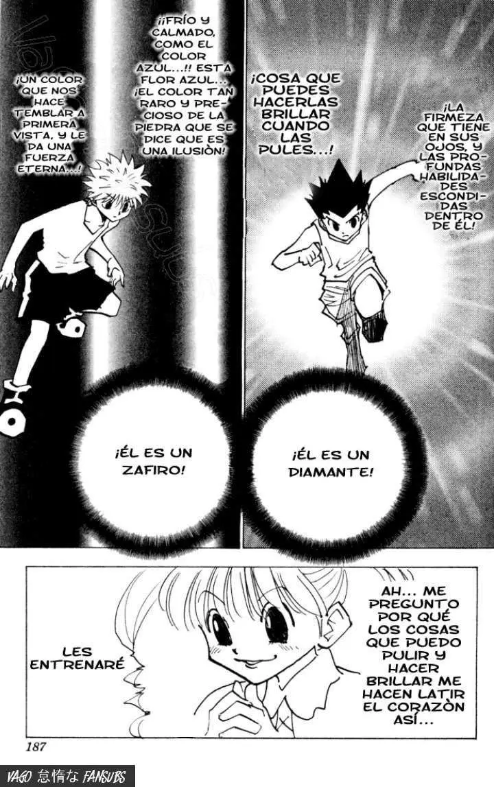 Hunter X Hunter capítulo 139, página 5