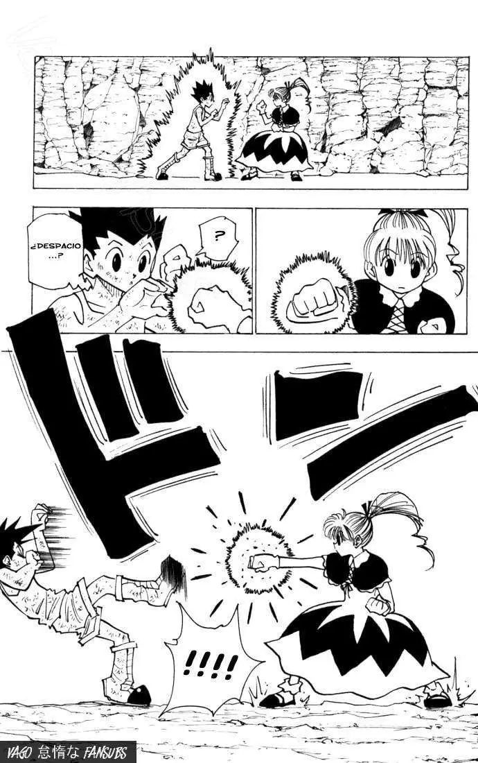 Hunter X Hunter capítulo 141, página 13