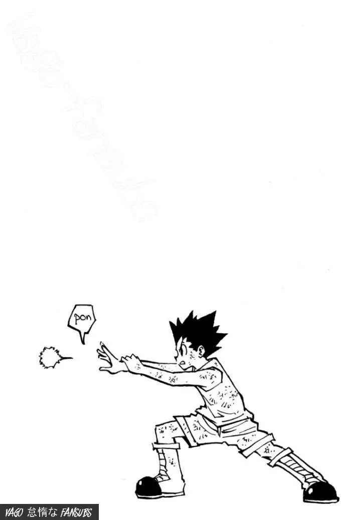 Hunter X Hunter capítulo 150, página 16