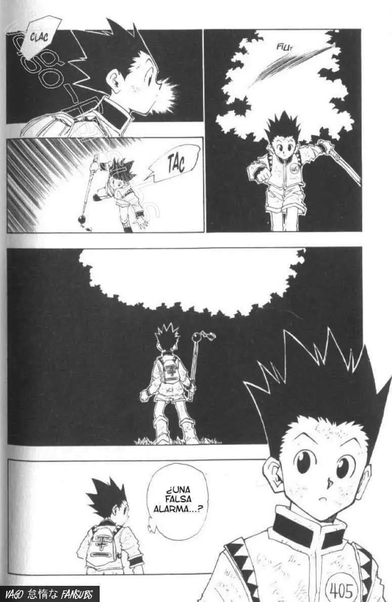 Hunter X Hunter capítulo 23, página 18