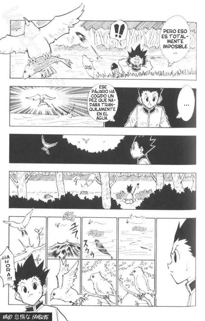 Hunter X Hunter capítulo 24, página 18