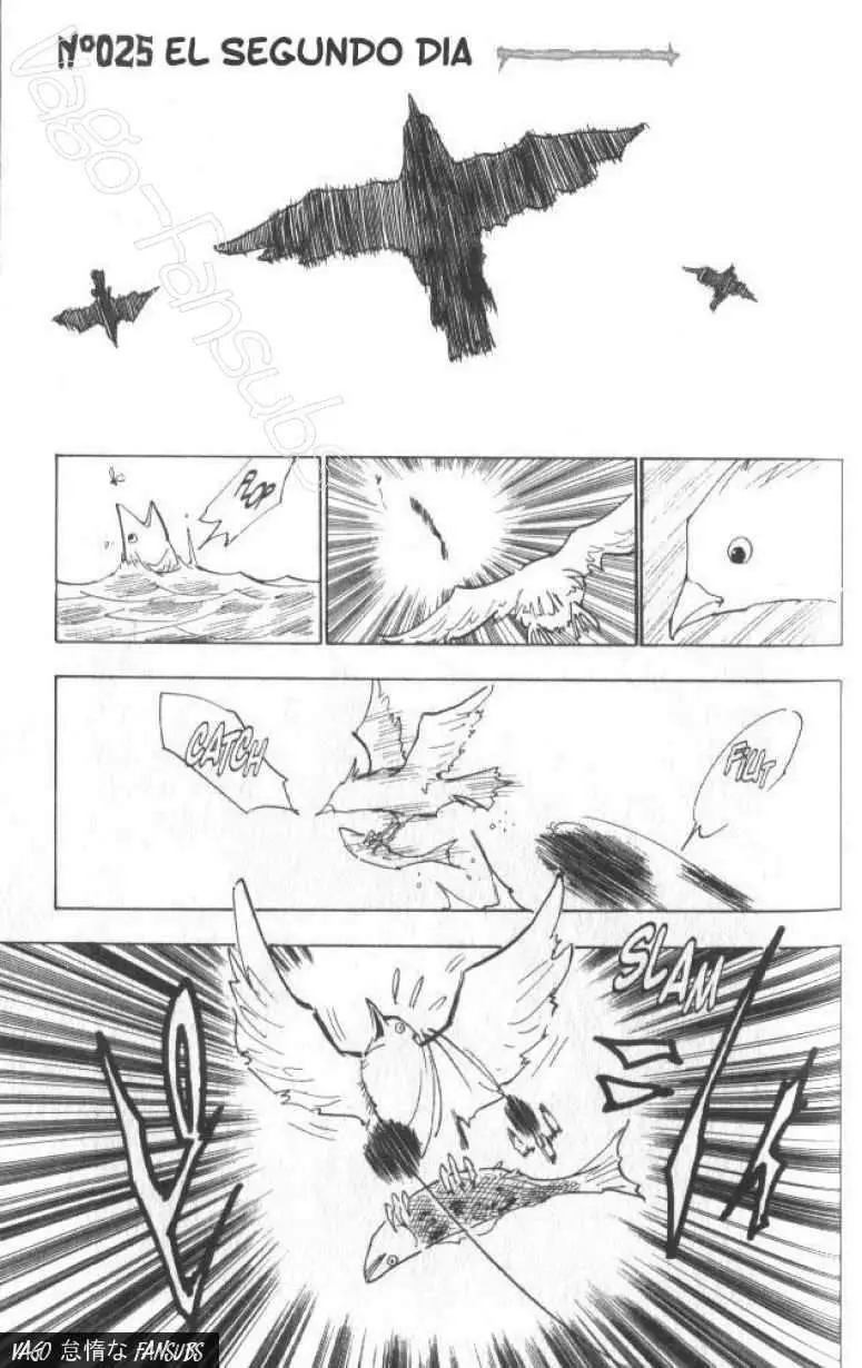 Hunter X Hunter capítulo 25, página 2