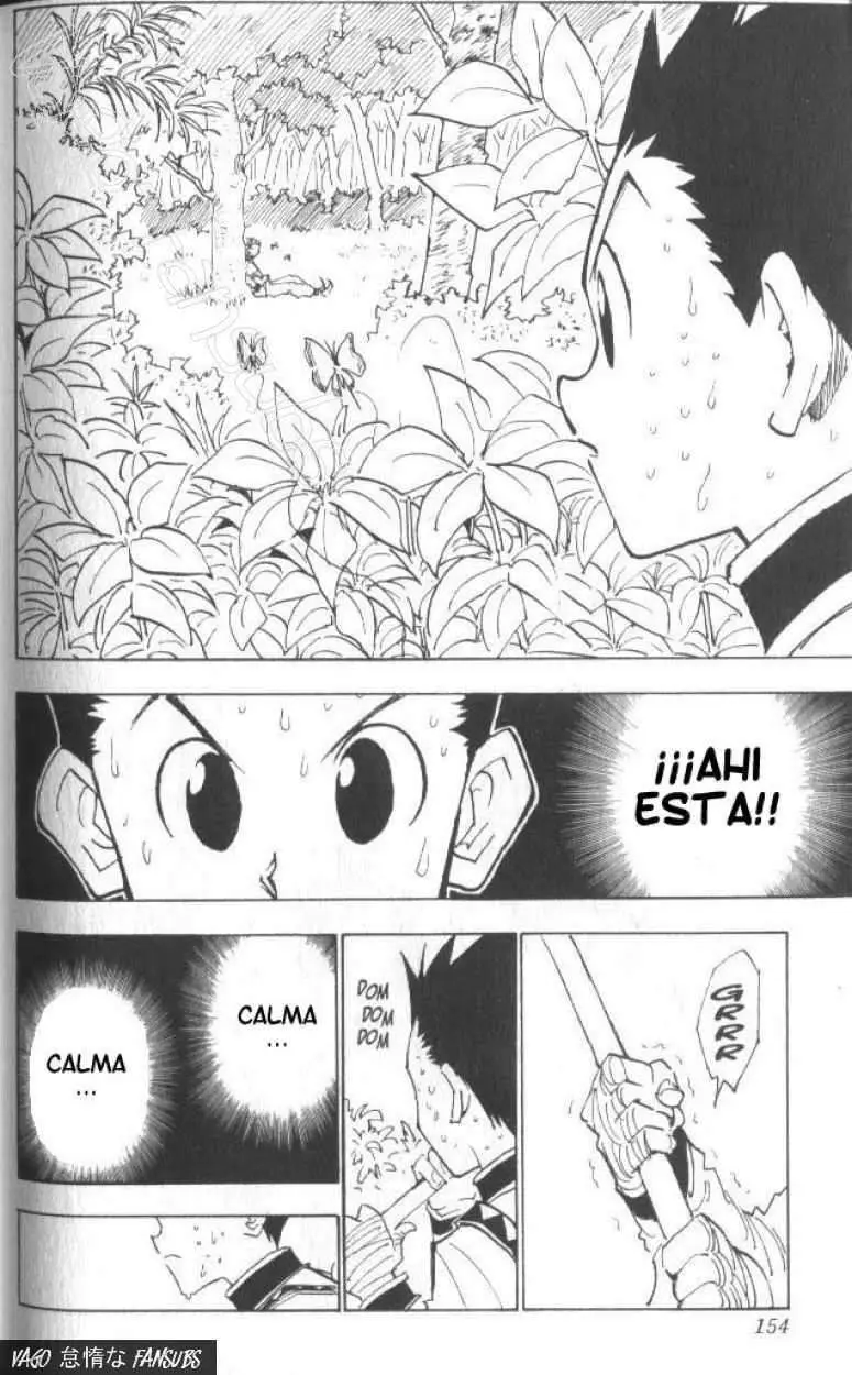 Hunter X Hunter capítulo 25, página 8