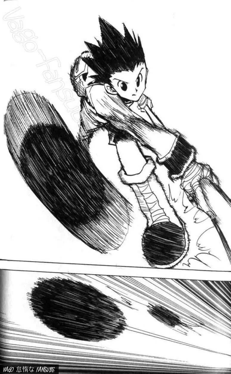 Hunter X Hunter capítulo 28, página 5