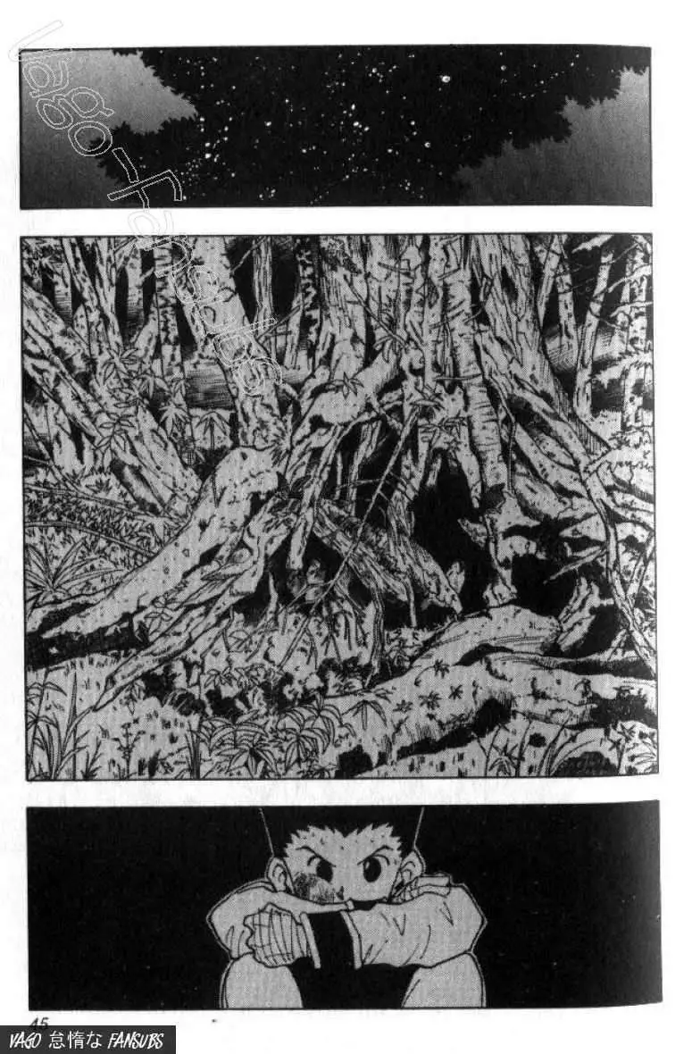 Hunter X Hunter capítulo 28, página 20