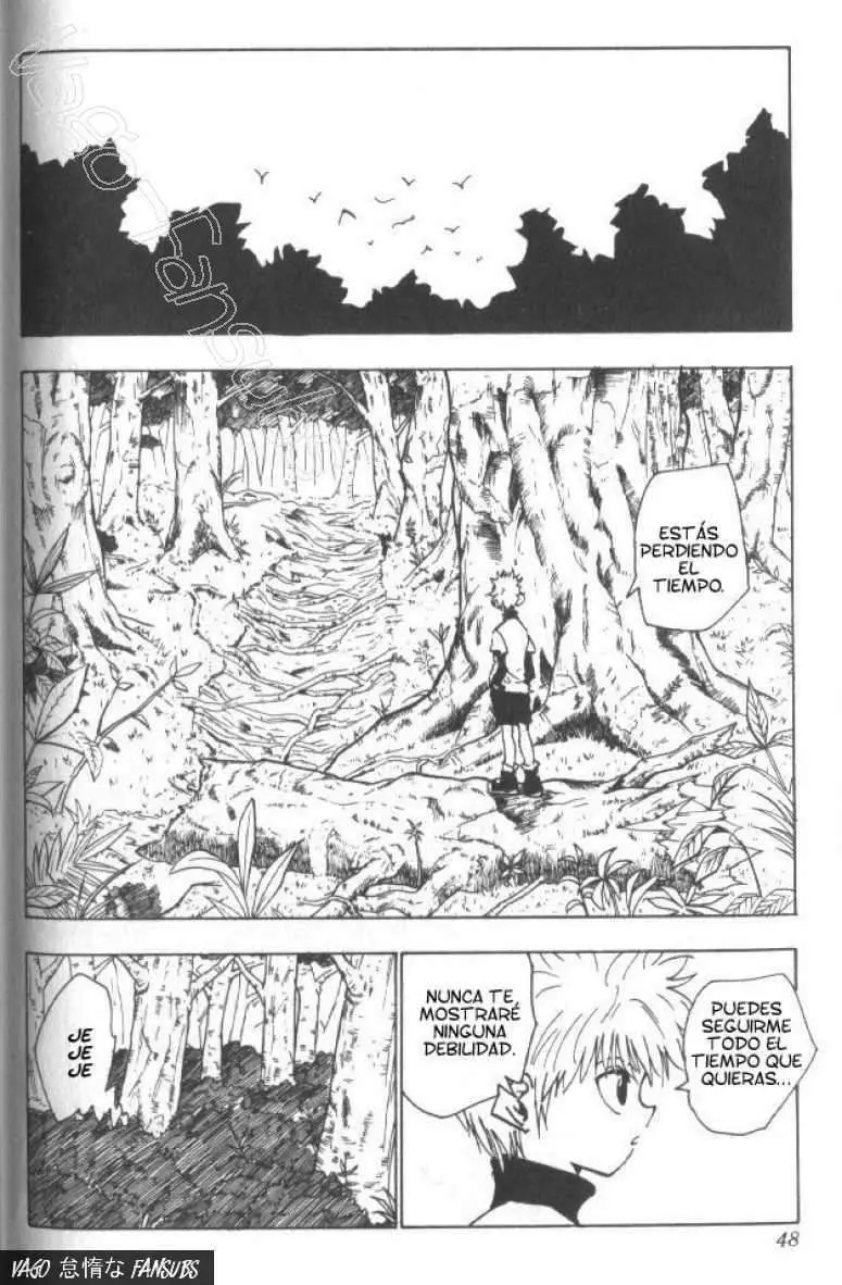 Hunter X Hunter capítulo 29, página 3