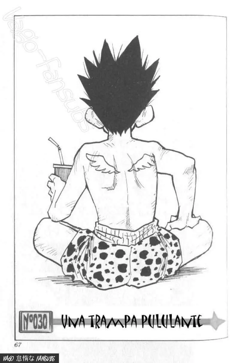 Hunter X Hunter capítulo 30, página 2