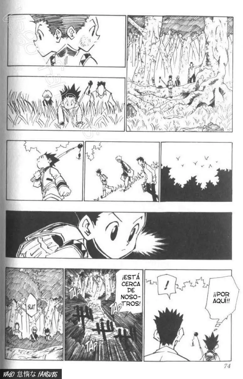 Hunter X Hunter capítulo 30, página 9