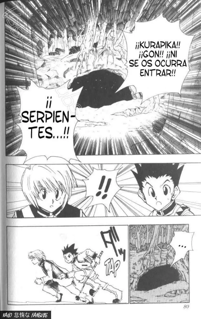 Hunter X Hunter capítulo 30, página 15
