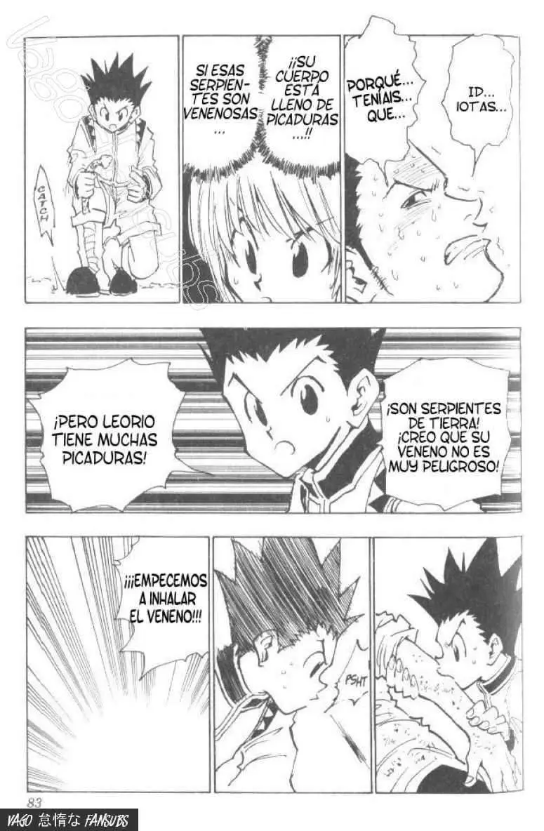 Hunter X Hunter capítulo 30, página 18