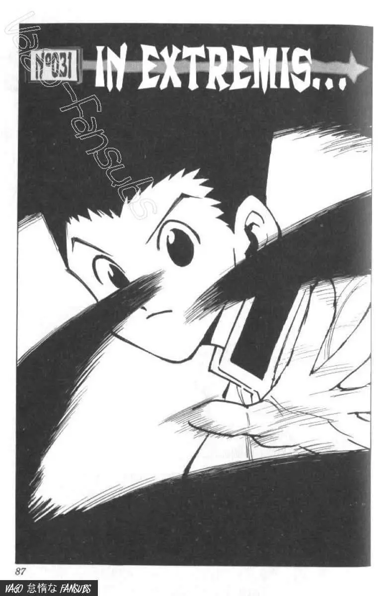 Hunter X Hunter capítulo 31, página 2