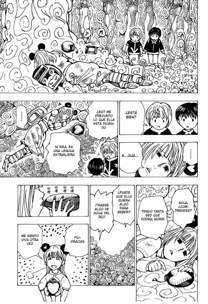 Hunter X Hunter capítulo 339.01, página 10