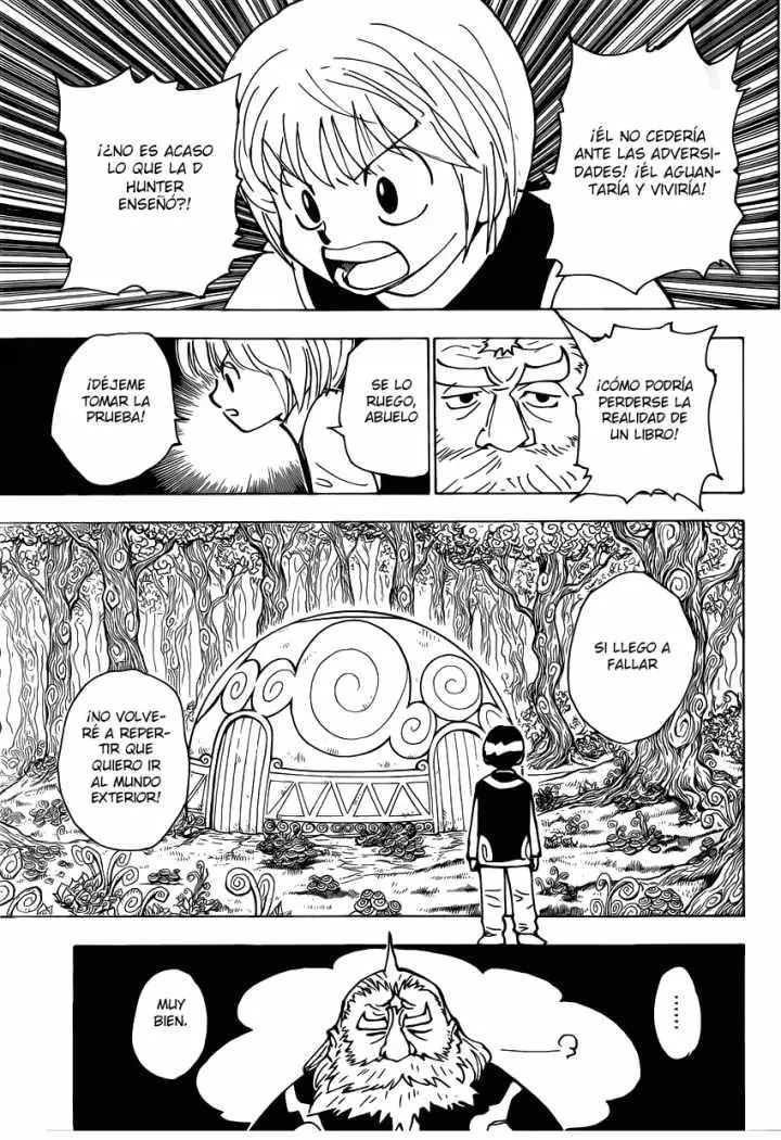 Hunter X Hunter capítulo 339.01, página 17