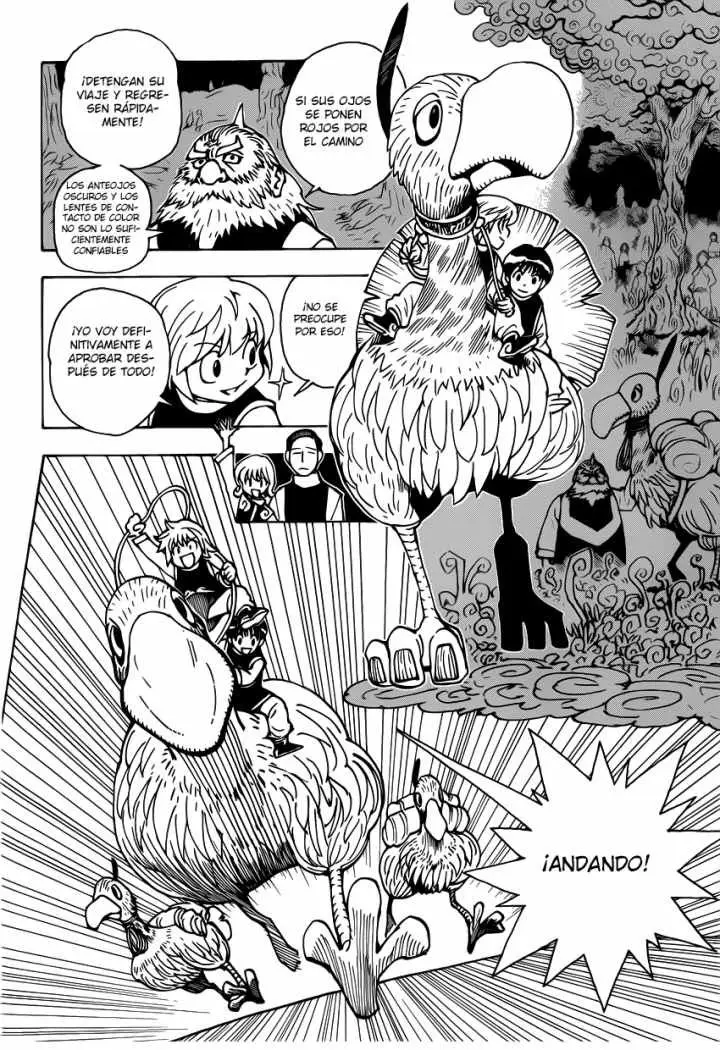 Hunter X Hunter capítulo 339.01, página 28