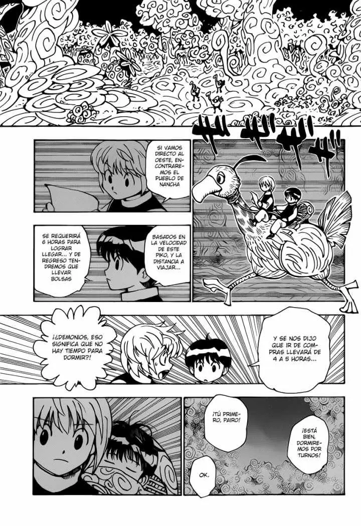 Hunter X Hunter capítulo 339.01, página 29
