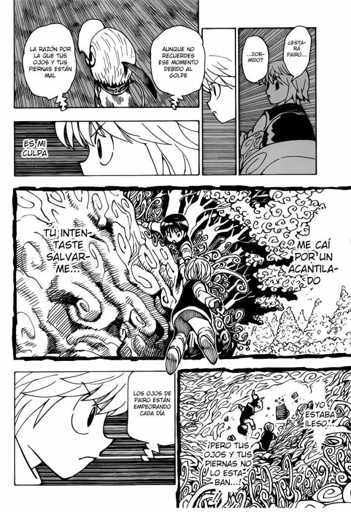 Hunter X Hunter capítulo 339.01, página 30