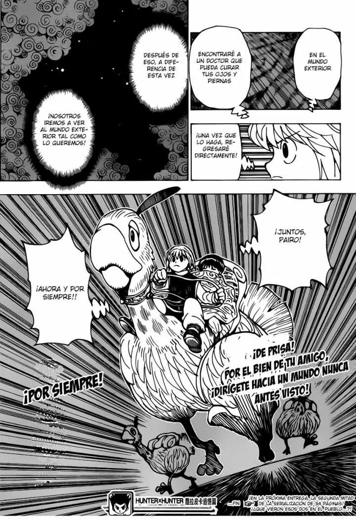 Hunter X Hunter capítulo 339.01, página 31