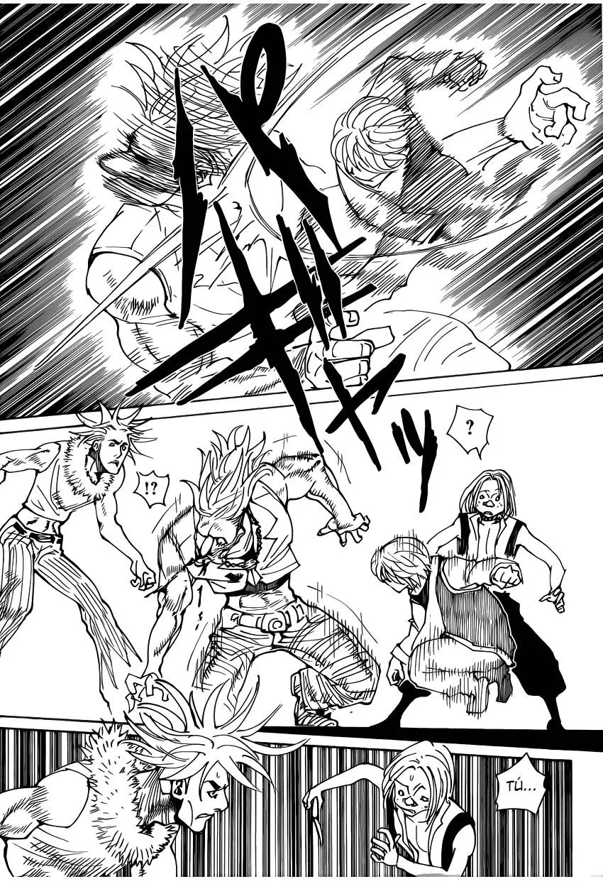 Hunter X Hunter capítulo 339.02, página 17