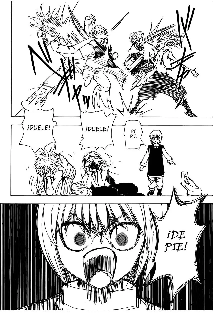 Hunter X Hunter capítulo 339.02, página 18