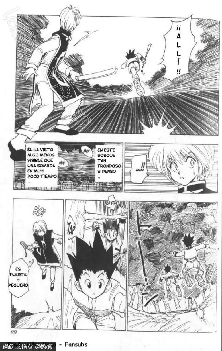 Hunter X Hunter capítulo 4, página 8