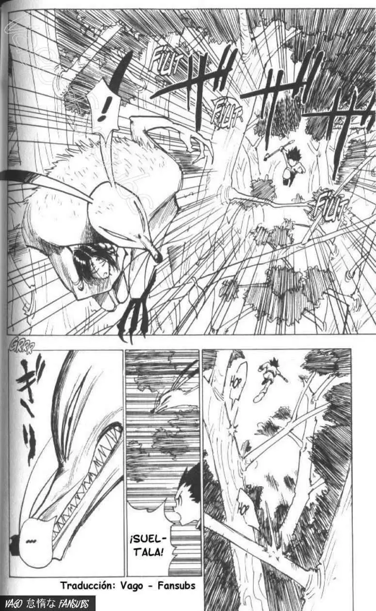 Hunter X Hunter capítulo 4, página 9