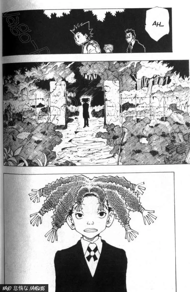 Hunter X Hunter capítulo 41, página 5