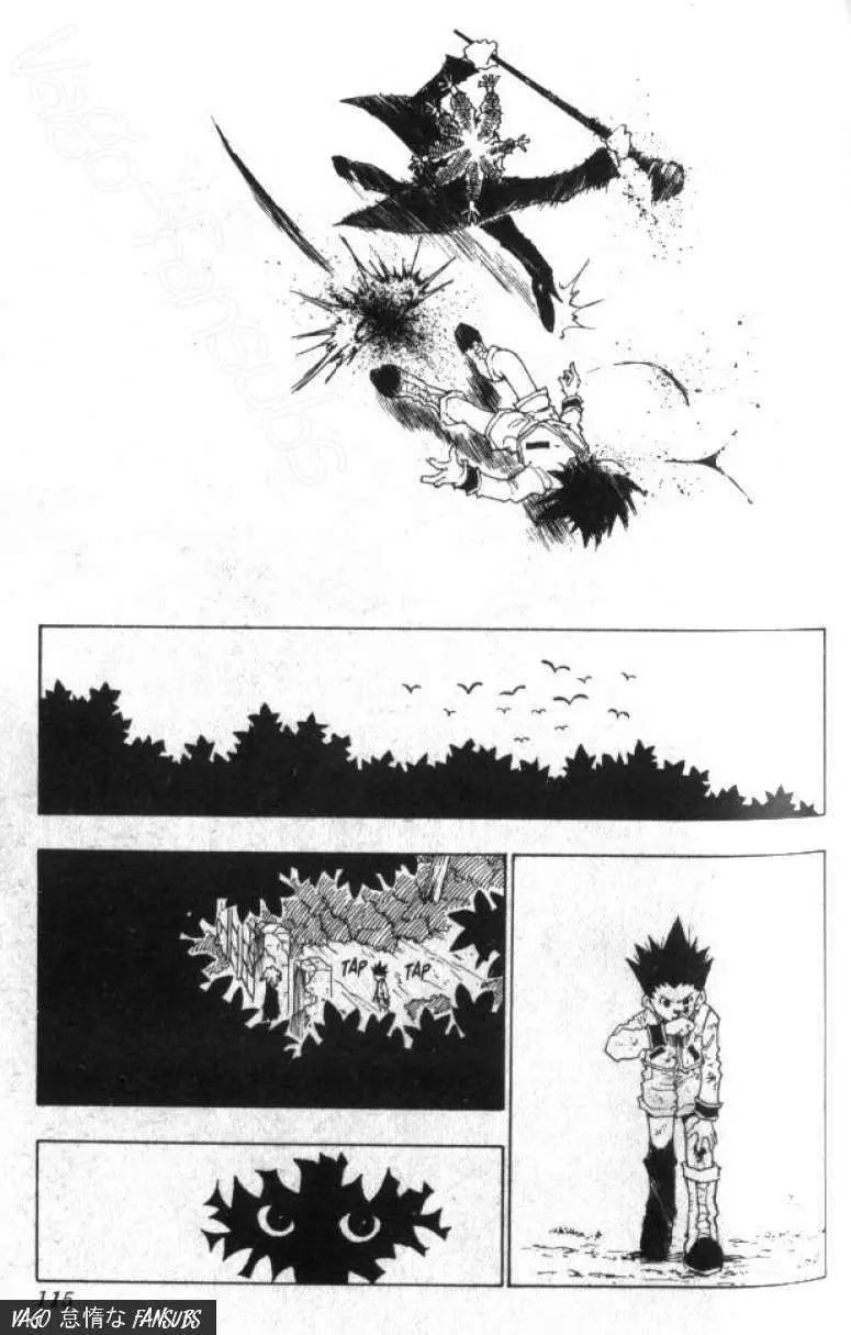 Hunter X Hunter capítulo 41, página 10
